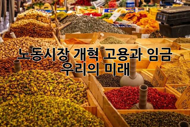 노동시장 개혁: 고용과 임금, 우리의 미래