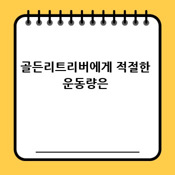 골든리트리버에게 적절한 운동량은