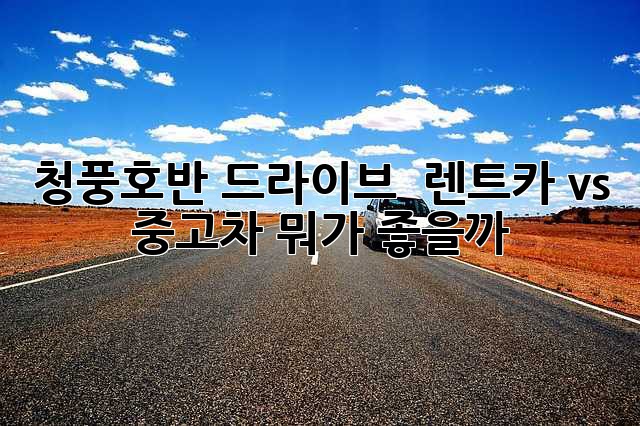 청풍호반 드라이브 🚗 렌트카 vs 중고차, 뭐가 좋을까? 🤔