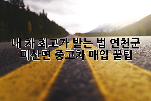 내 차 최고가 받는 법! 연천군 미산면 중고차 매입 꿀팁🍯